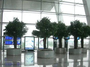 Artificial Plants for Airport, Railway Station Decoration