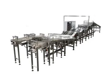 Automatic Inline Feeding System (for Sandwiching Machine)