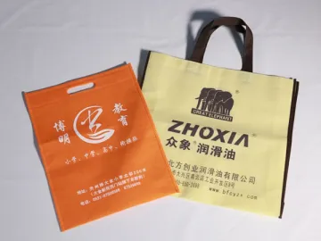 Gift Bag (Provide Reusable Bag Made of Non-Woven Fabric)