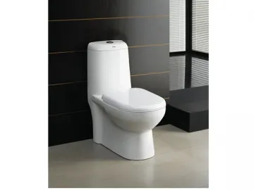 Ceramic Toilet