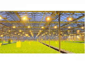 Plant Grow Light