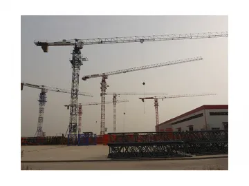 Tower Crane PT6516