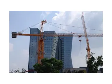 4T QTZ63 Tower Crane