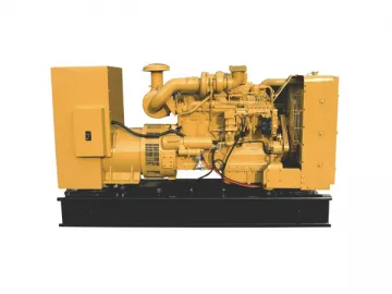 DS Diesel Generator Set