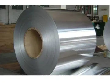 Electro Galvanized Steel Coil