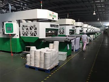 Reed Pulp Molding Machine