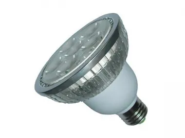 LED PAR Light